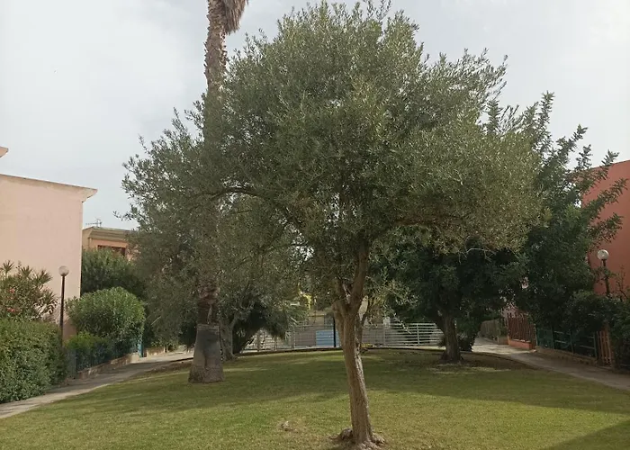 Veronica 维拉西米乌斯