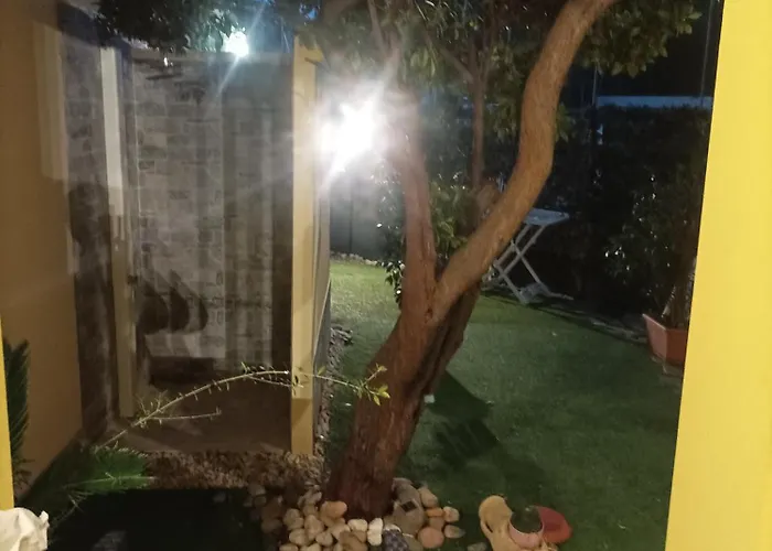 Veronica 维拉西米乌斯