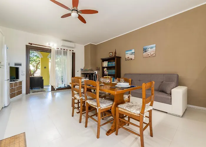 Veronica 维拉西米乌斯