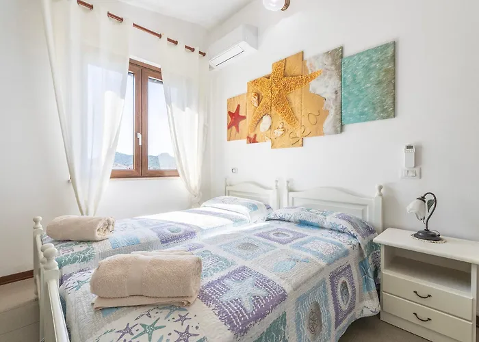 Veronica 维拉西米乌斯