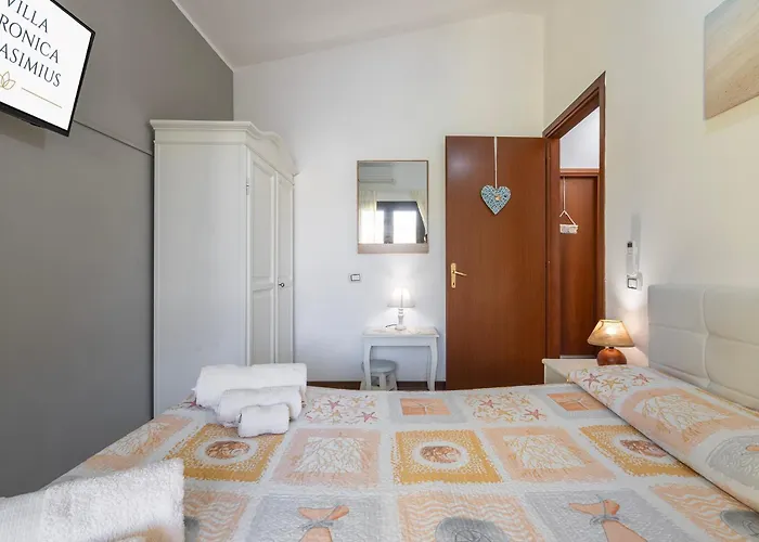 Veronica * 维拉西米乌斯