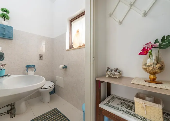 Veronica 维拉西米乌斯