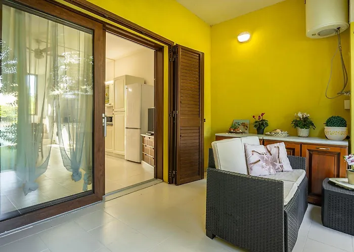 Veronica 维拉西米乌斯